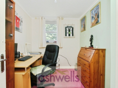 Picture 7